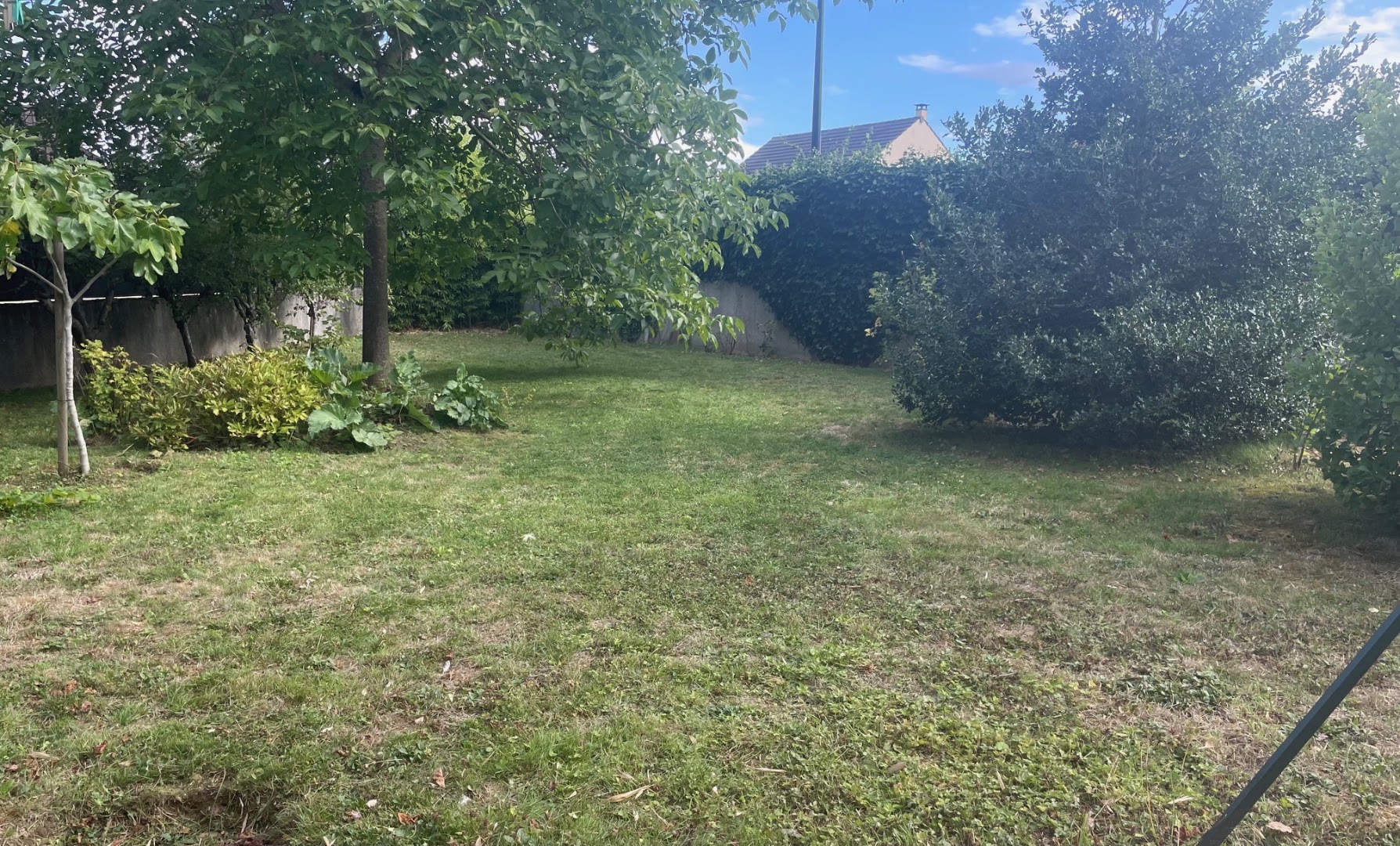 TM Services — Photos 3